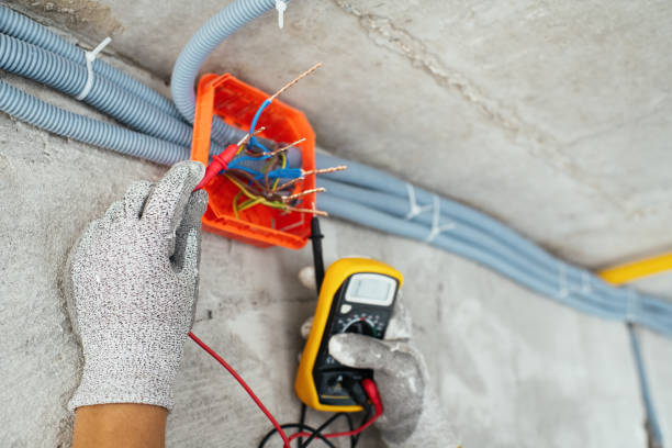 Best Generator Installation Services  in Hudson Lake, IN